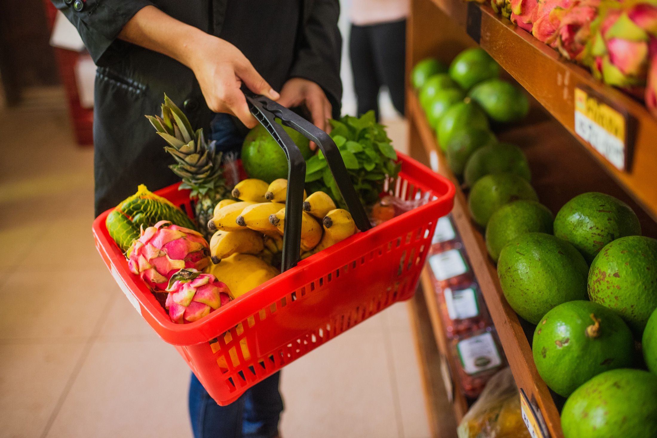 Cesta de frutas e hortaliças orgânicas colhidas no Sítio Geranium