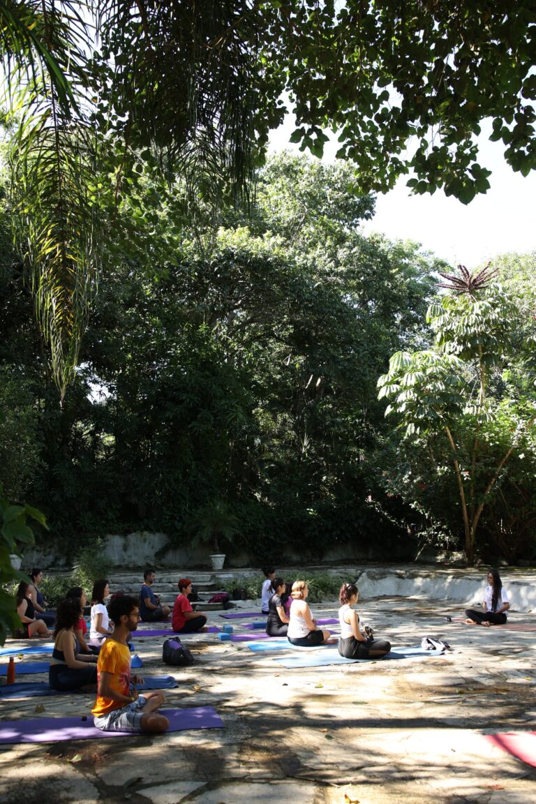 Turma de yoga praticando ao ar livre sob as árvores