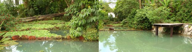 piscinatec
